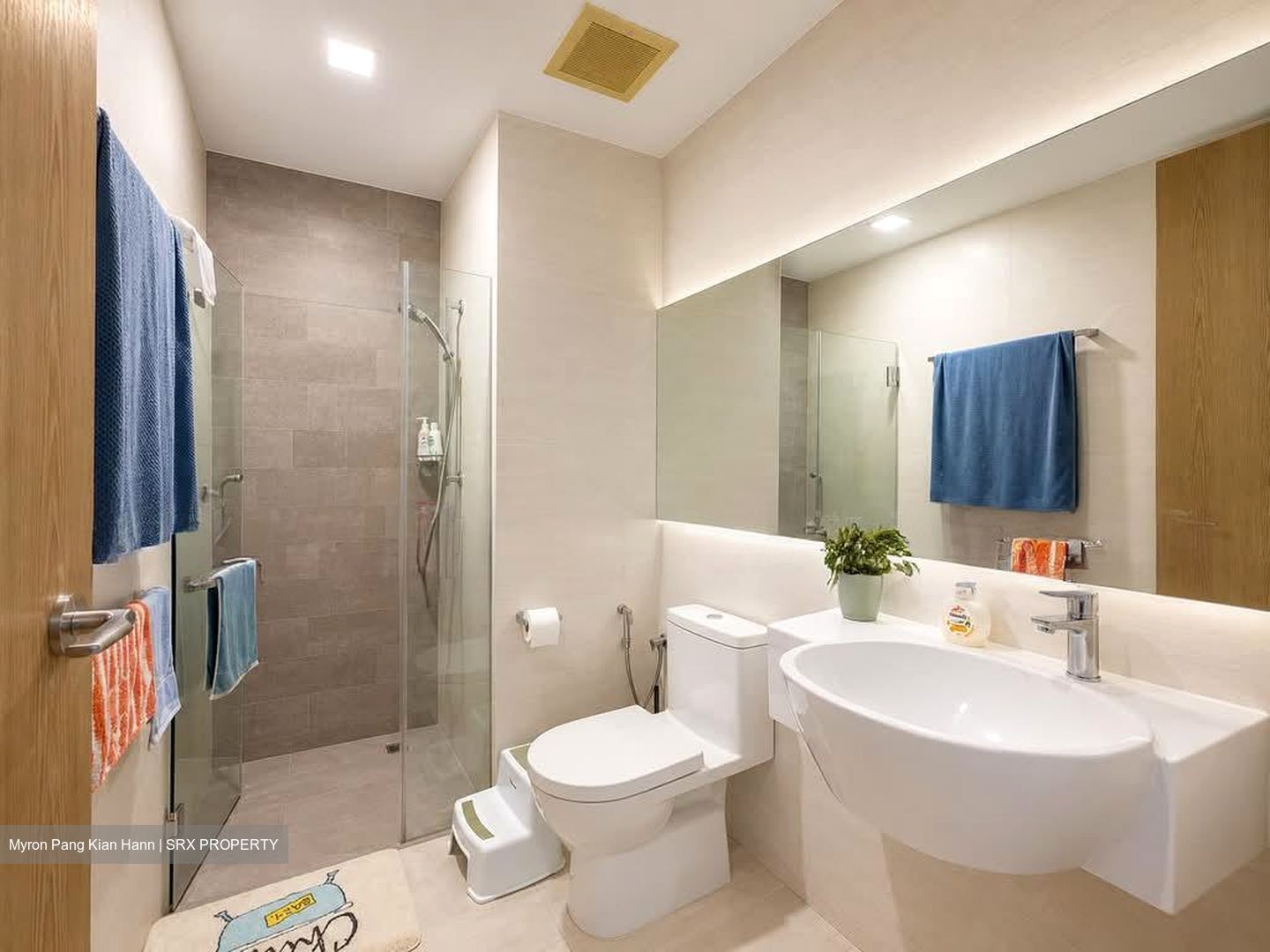 Maplewoods (D21), Condominium #580698411